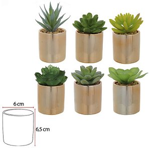 Folhagem Suculenta Sortidas C/Vaso C/6 Uni Verde 10cm